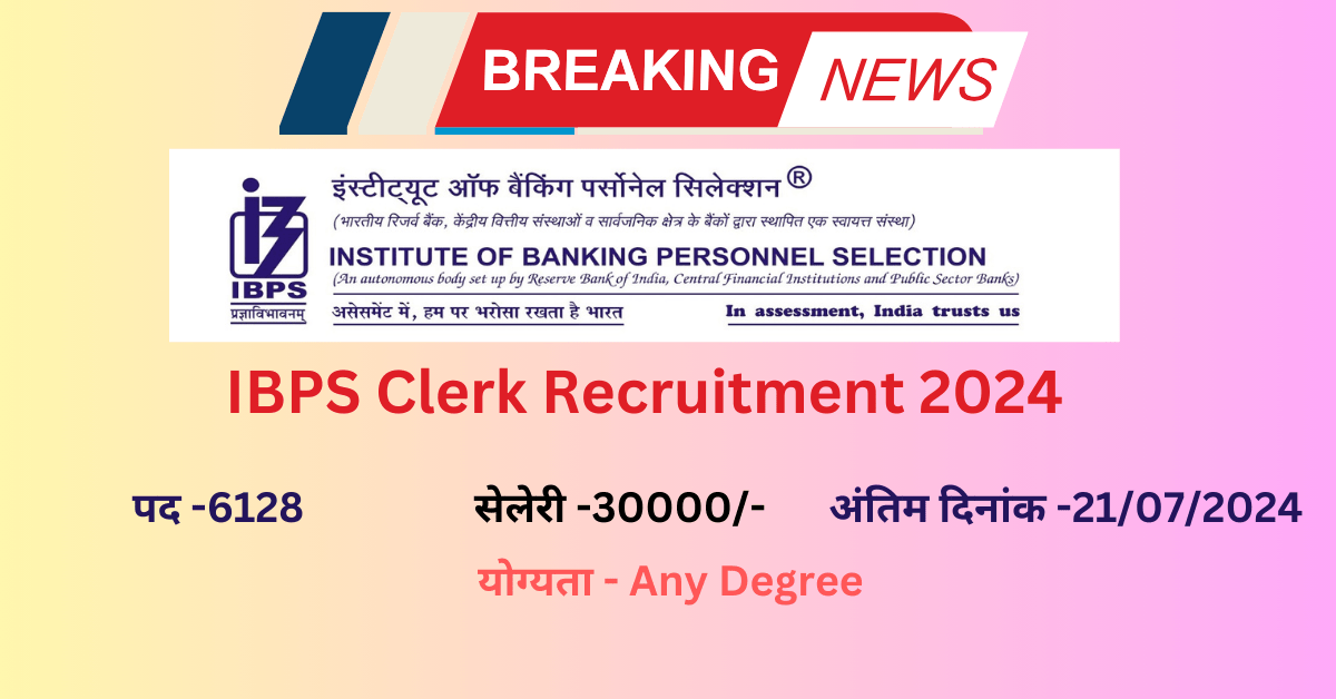 IBPS Clerk Recruitment 2024 Post-6128